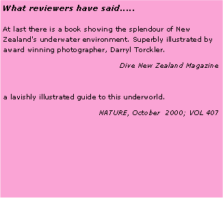 Text Box: What reviewers have said.....At last there is a book showing the splendour of New Zealand's underwater environment. Superbly illustrated by award winning photographer, Darryl Torckler. Dive New Zealand Magazinea lavishly illustrated guide to this underworld.NATURE, October  2000; VOL 407