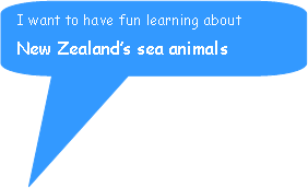 Rounded Rectangular Callout: I want to have fun learning about   New Zealand’s sea animals