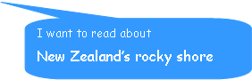 Rounded Rectangular Callout: I want to read about                     New Zealand’s rocky shore